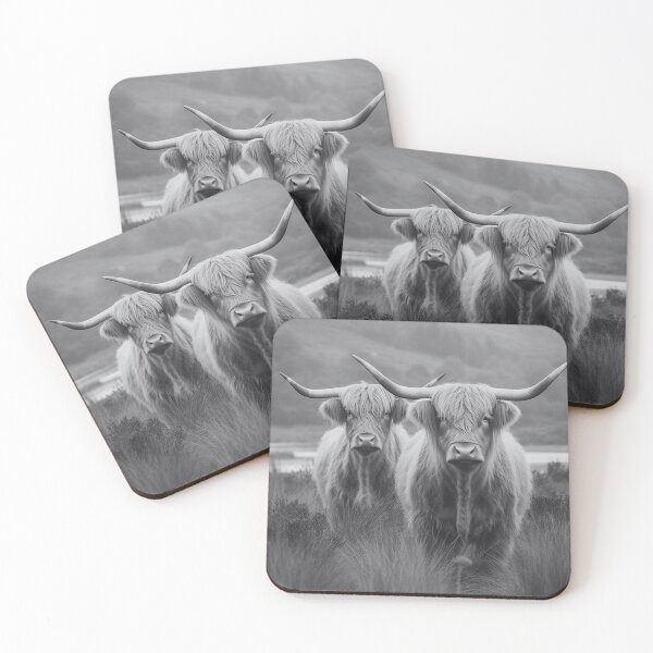 Item preview, Black And White Highland Cows Photo designed and sold by TheAnimalZ00.