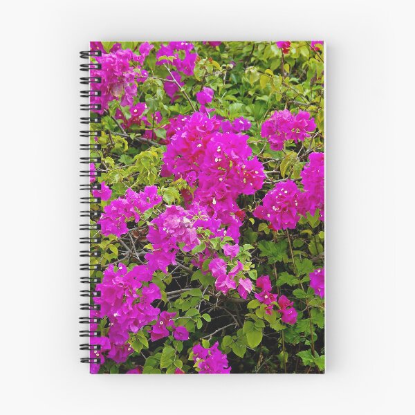 Item preview, Bougainvillea and Foliage II  designed and sold by Robert Meyers-Lussier.