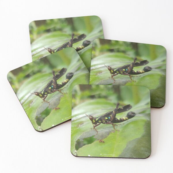 Item preview, Monkey Grasshopper designed and sold by RanranBugs.