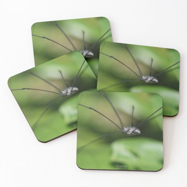 Item preview, Harvestman Bug designed and sold by RanranBugs.