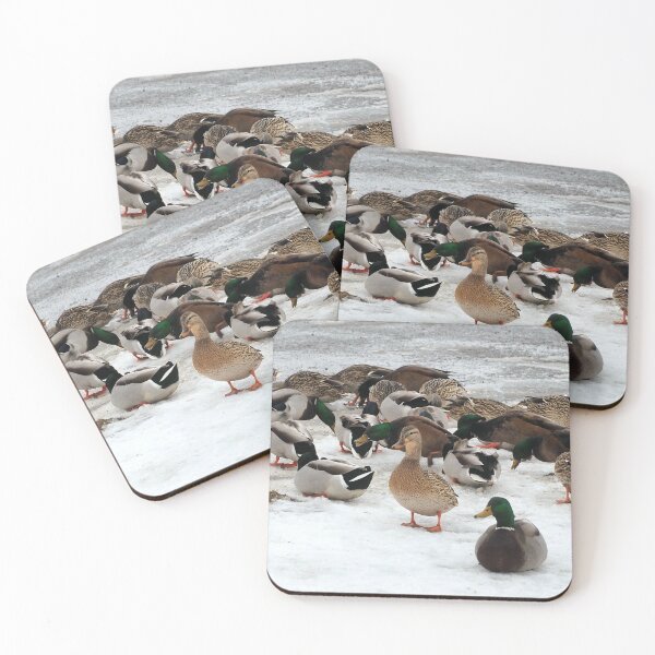 Item preview, Winter Mallard Duck Flock On The Snow designed and sold by BackyardBirder.