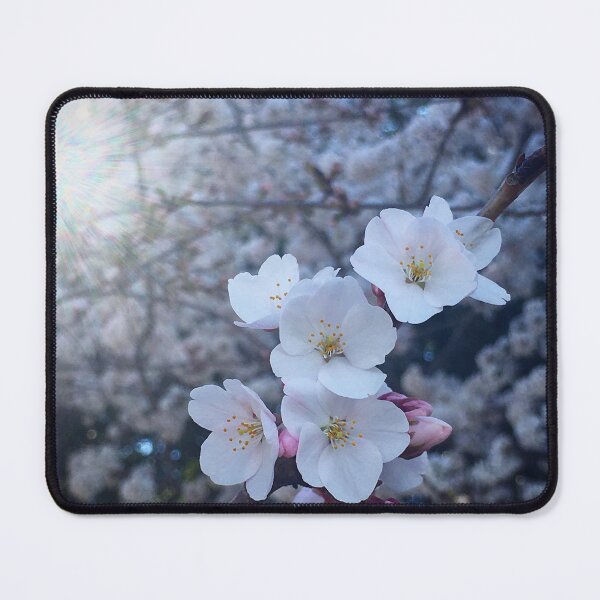 Item preview, Washington DC Cherry Blossoms 3 designed and sold by Jamz n'  Jelliez.