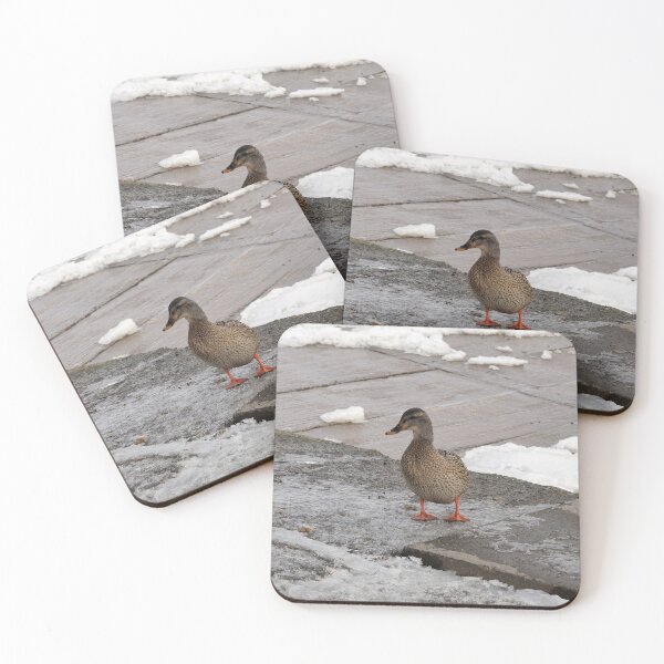 Item preview, Female Mallard Duck In The Winter designed and sold by BackyardBirder.