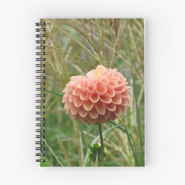 Item preview, Orange and pink globular dahlia flower designed and sold by greentiger1.