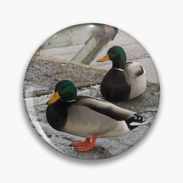 Item preview, Three Winter Mallard Ducks designed and sold by BackyardBirder.