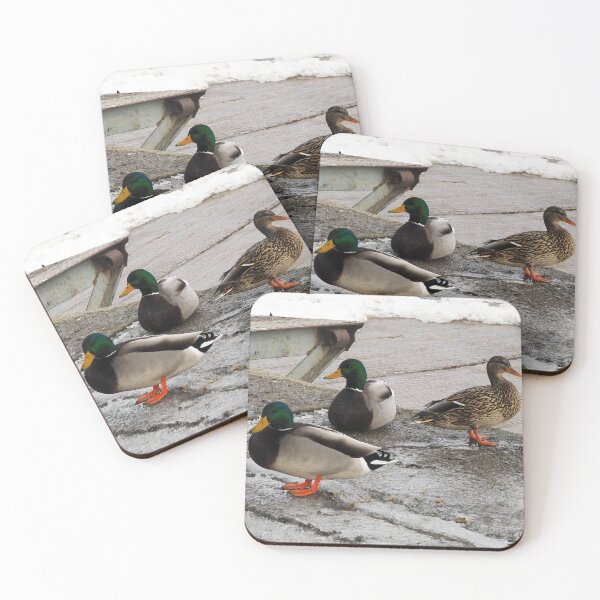 Item preview, Three Winter Mallard Ducks designed and sold by BackyardBirder.