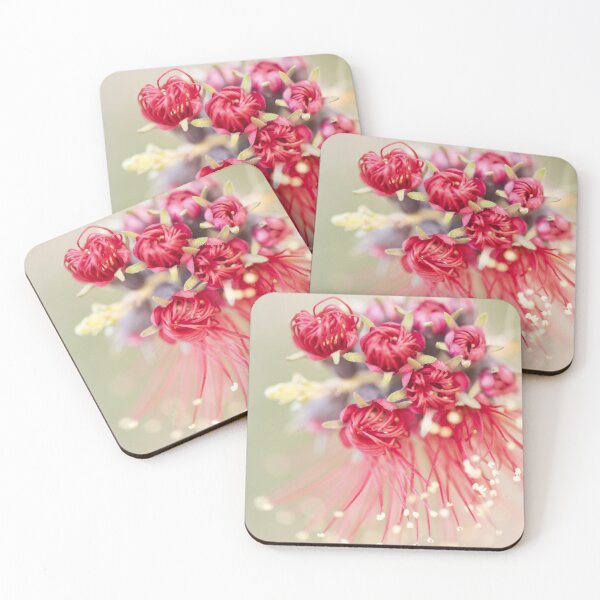 Item preview, Beauty of the Kunzea baxteri - Scarlet Jack designed and sold by imaginethis.