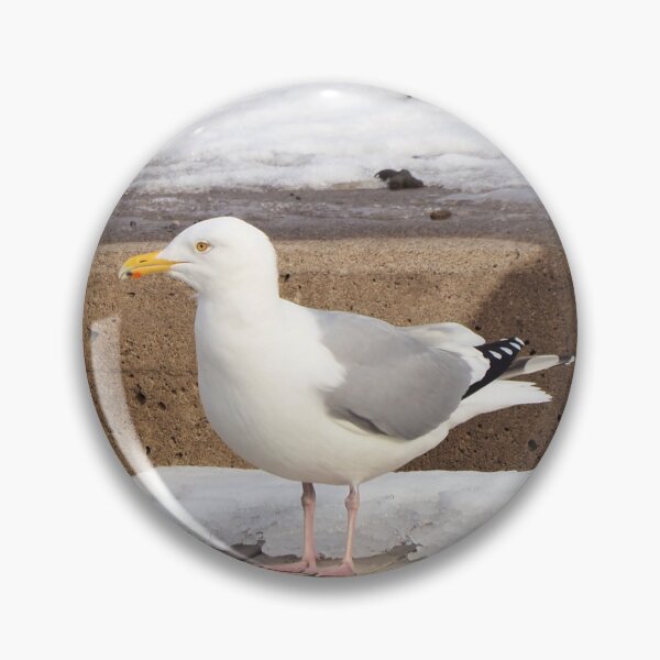 Item preview, Winter Gull Standing On a Dock designed and sold by BackyardBirder.