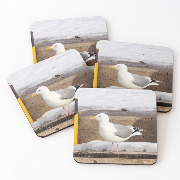 Item preview, Winter Gull Standing On a Dock designed and sold by BackyardBirder.