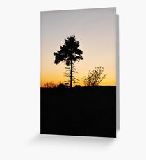 Alone in the Dark Greeting Card