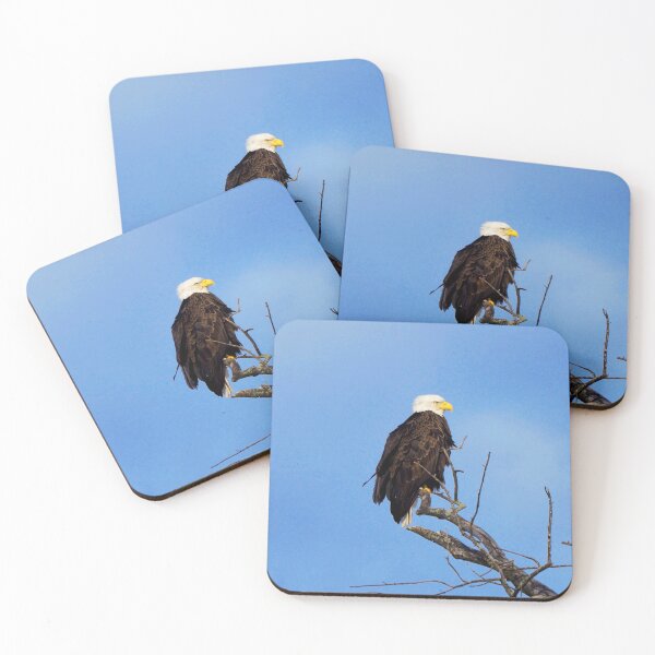Item preview, Bald Eagle Perched In a Tree In The Winter designed and sold by BackyardBirder.