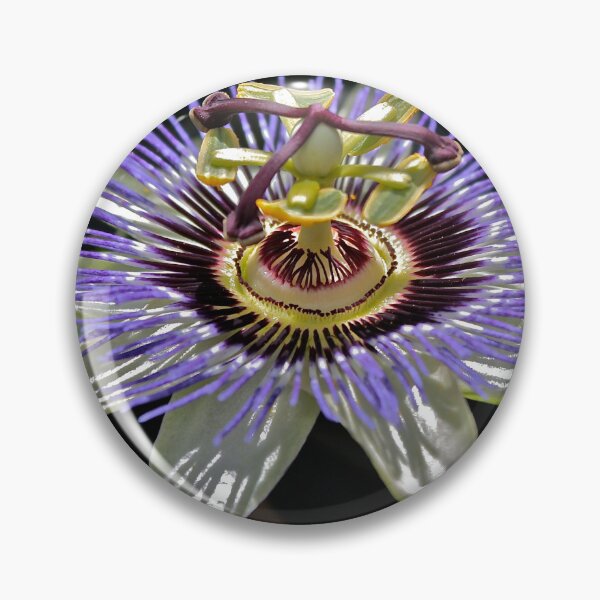 Item preview, Passionfruit Flower designed and sold by Cars around Adelaide.