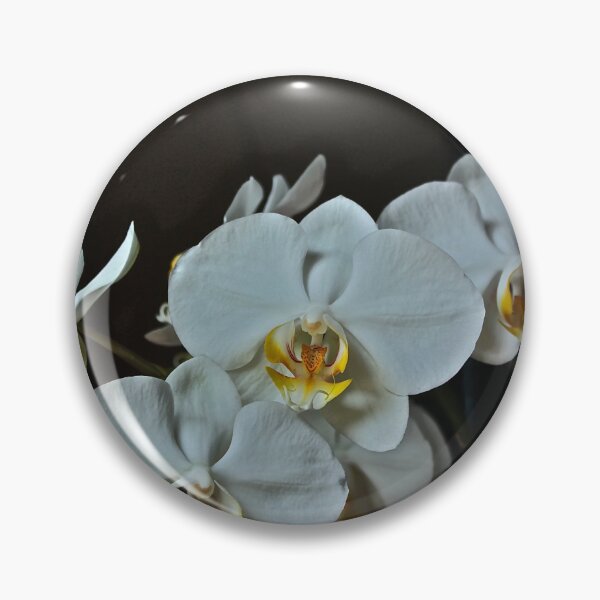 Item preview, White Phalaenopsis Orchid designed and sold by Cars around Adelaide.