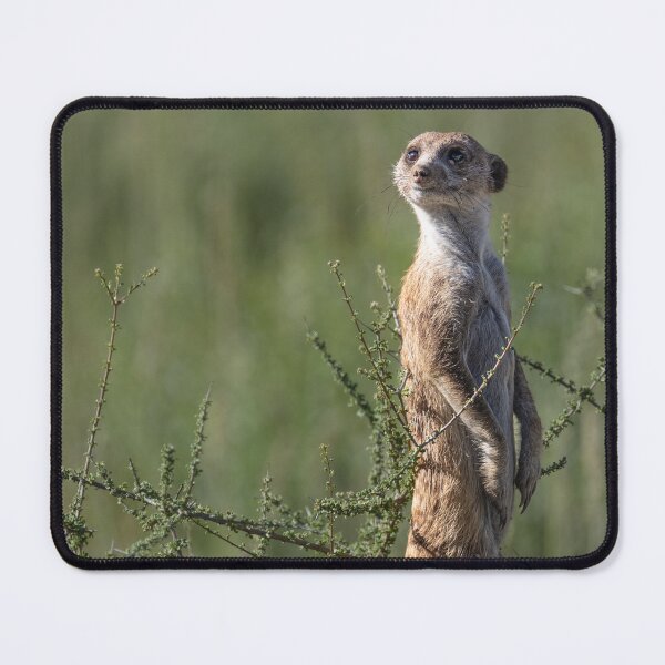 Item preview, Always alert. designed and sold by TwigaTravel.