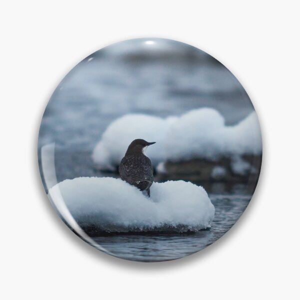 Item preview, Fresh as the new snow. White-throated dipper designed and sold by Jouko Lehto Photography.