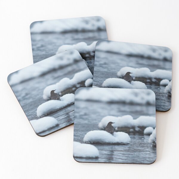Item preview, Fresh as the new snow. White-throated dipper designed and sold by Jouko Lehto Photography.