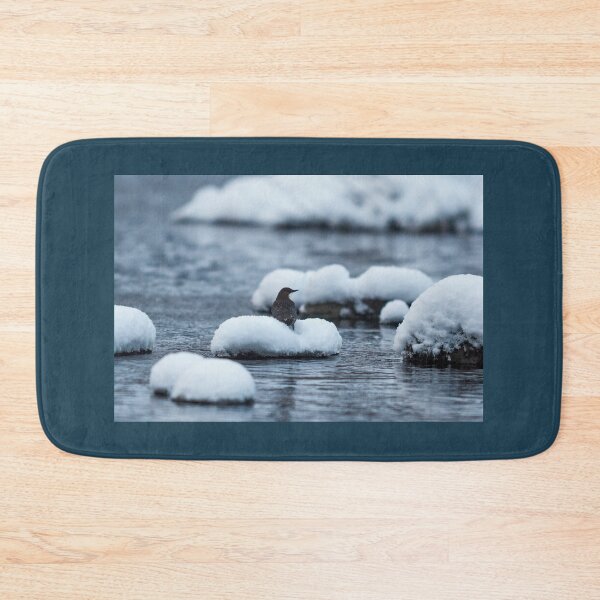 Item preview, Fresh as the new snow. White-throated dipper designed and sold by Jouko Lehto Photography.