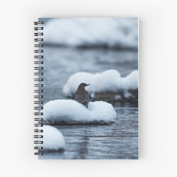Item preview, Fresh as the new snow. White-throated dipper designed and sold by Jouko Lehto Photography.