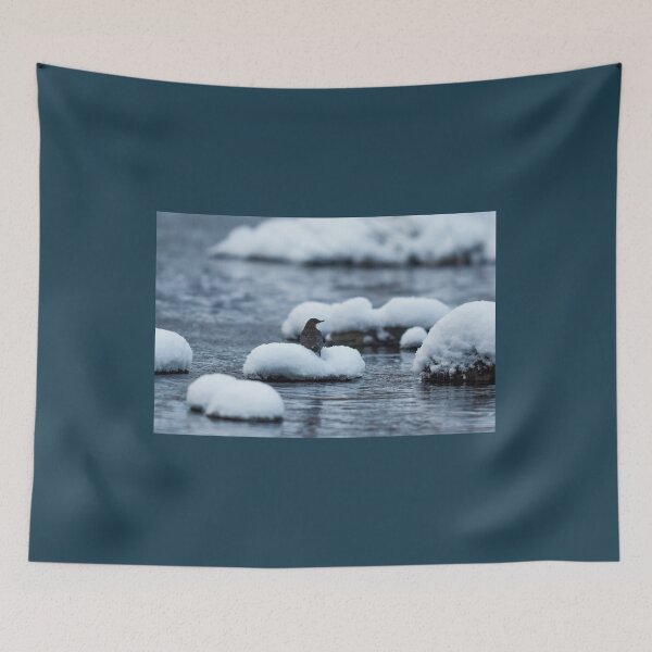 Item preview, Fresh as the new snow. White-throated dipper designed and sold by Jouko Lehto Photography.