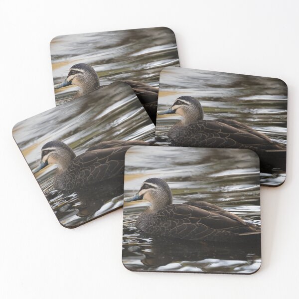 Item preview, coffee coloured pacific black duck designed and sold by Tara Smithson.