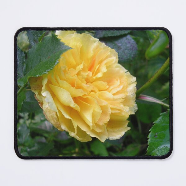 Item preview, Rose, Molineux designed and sold by lezvee.