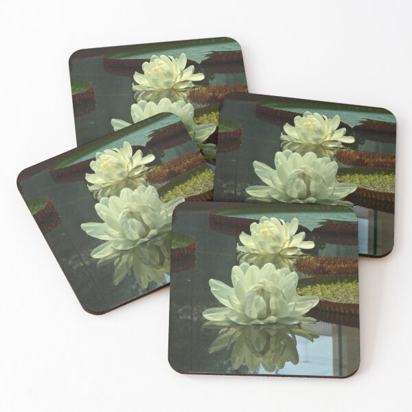 Item preview, Twin Amazon Waterlily Flowers designed and sold by Cars around Adelaide.