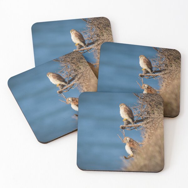 Item preview, Two kestrels on a cliff - bird designed and sold by Tara Smithson.