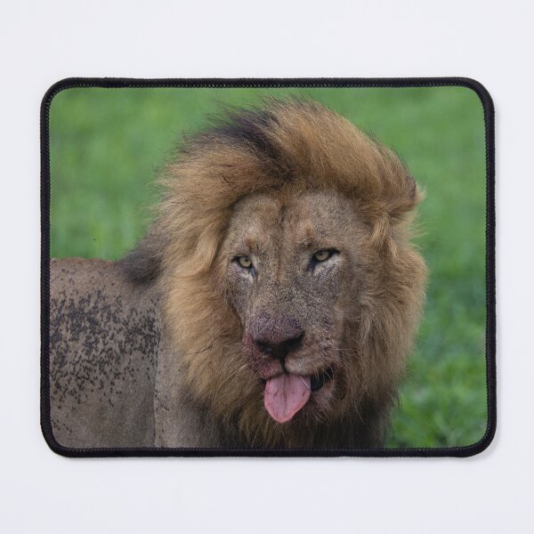 Item preview, Funny Face. designed and sold by TwigaTravel.