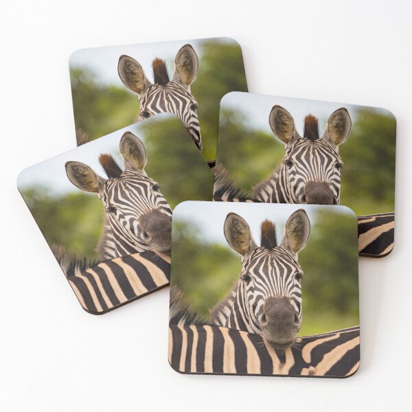 Item preview, Picture Perfect. designed and sold by TwigaTravel.