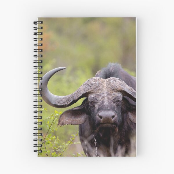 Item preview, Black Death. designed and sold by TwigaTravel.