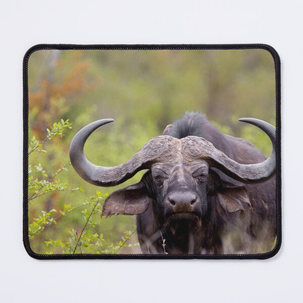 Item preview, Black Death. designed and sold by TwigaTravel.
