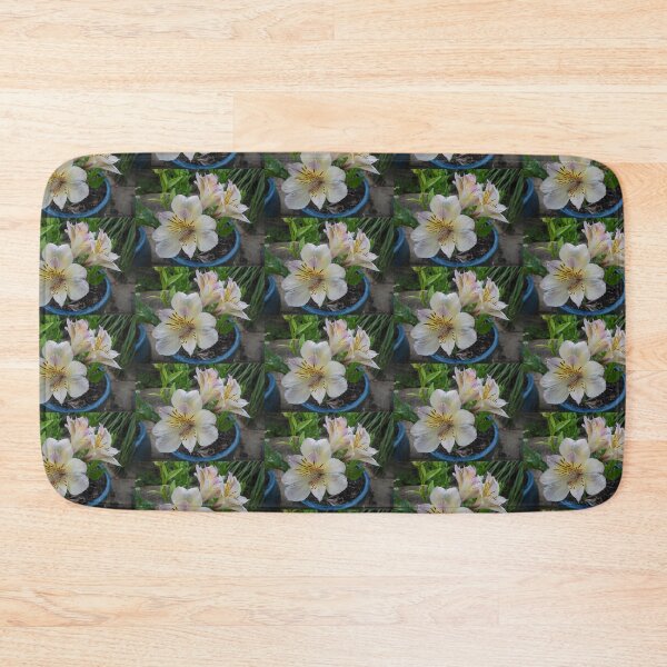 Item preview, Inca Ice Alstromeria / Peruvian Lily designed and sold by Claire L Page Photography.