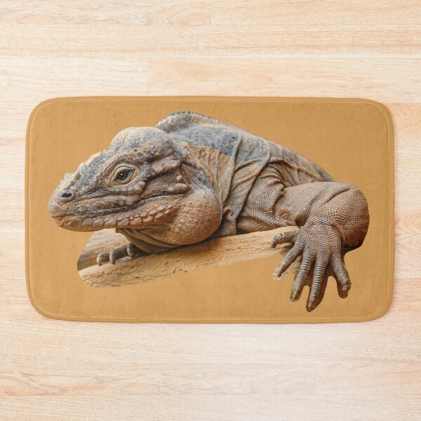 Item preview, Basking Rhinocerous iguana  designed and sold by Dalyndigital Photography.