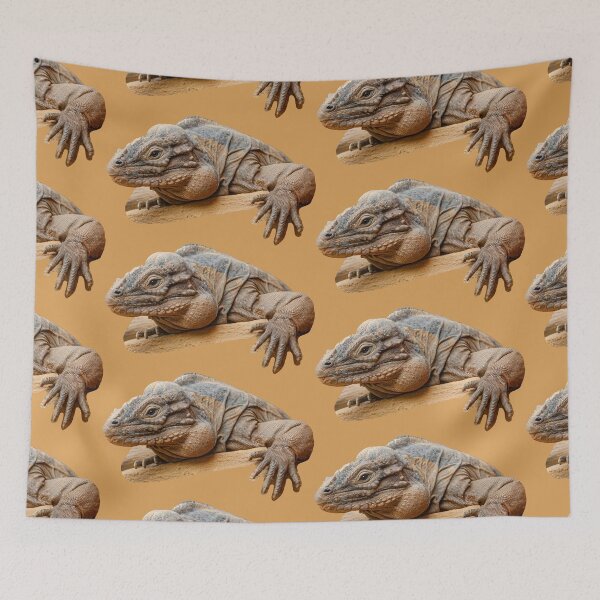 Item preview, Basking Rhinocerous iguana  designed and sold by Dalyndigital Photography.