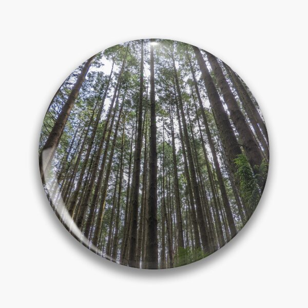 Item preview, Redwood Tree - The Otways - Australia designed and sold by DivineDZNs.