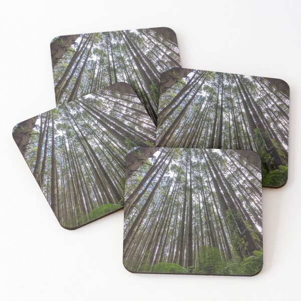 Item preview, Redwood Tree - The Otways - Australia designed and sold by DivineDZNs.