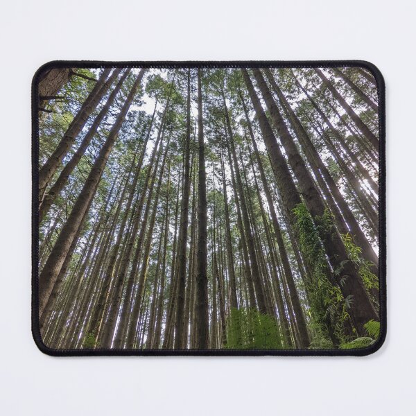 Item preview, Redwood Tree - The Otways - Australia designed and sold by DivineDZNs.