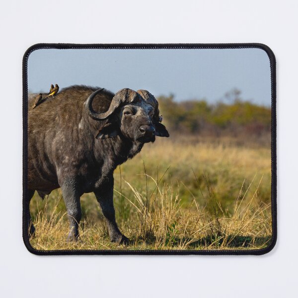Item preview, Buffalo warrior. designed and sold by TwigaTravel.