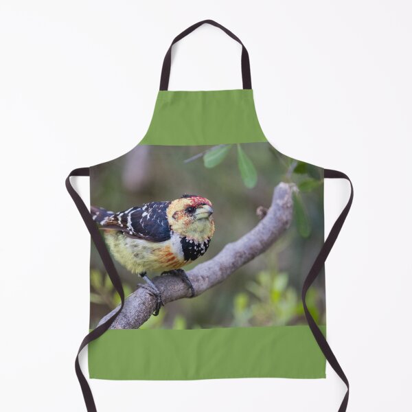 Item preview, Crested barbet designed and sold by TwigaTravel.