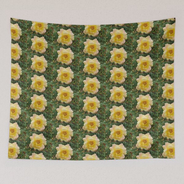 Item preview, Pastel yellow and pink rose designed and sold by Claire L Page Photography.