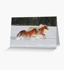 Winter Freedom Greeting Card