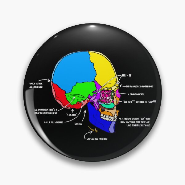 Item preview, Skull with accurate description designed and sold by Vikyheliova.