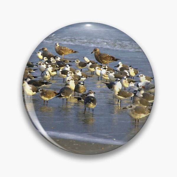 Item preview, A Flock Of New Smyrna Beach Seagulls designed and sold by MercerImages.