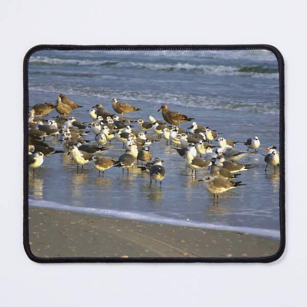 Item preview, A Flock Of New Smyrna Beach Seagulls designed and sold by MercerImages.