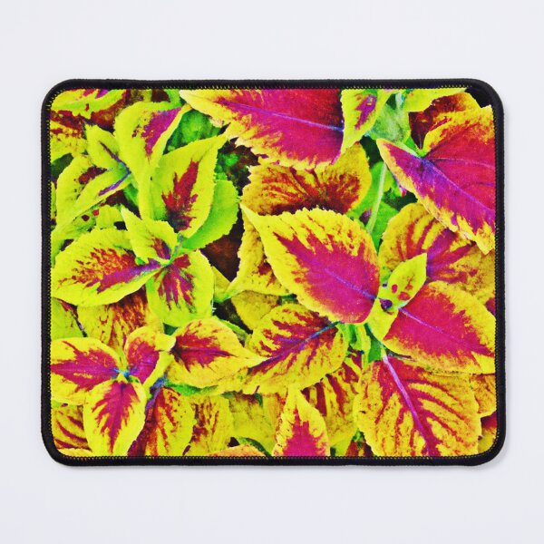 Item preview, Lively Leaves Pattern Dance designed and sold by Health And Fitness Posts e-Store.