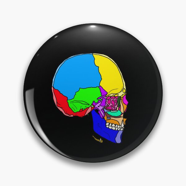 Item preview, A Skull with Colored Parts designed and sold by Vikyheliova.