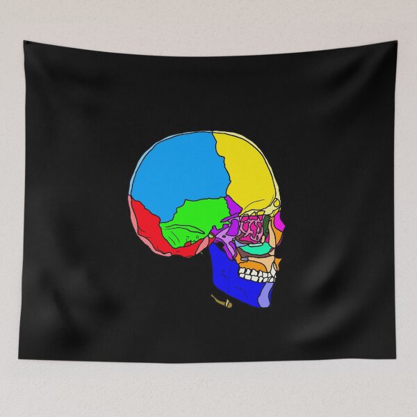 Item preview, A Skull with Colored Parts designed and sold by Vikyheliova.
