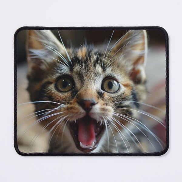 Item preview, OH! FOR CAT SAKE, Cat lovers Tee, Paws and Perplexity, Cattitude Chronicles designed and sold by Terry-Salsa.