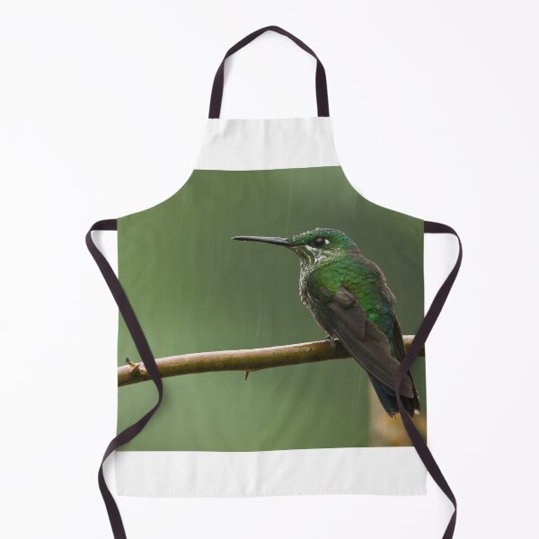 Item preview, Female Green-crowned Brilliant. designed and sold by Raymond J Barlow.