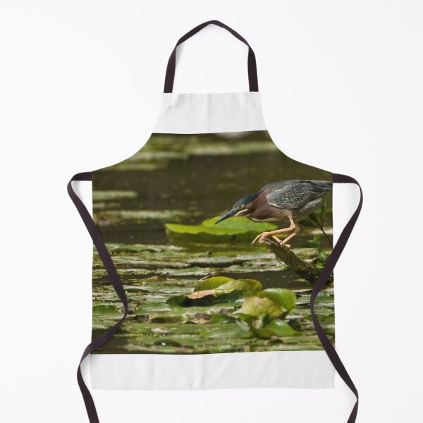 Item preview, Green Heron - Ontario, Canada designed and sold by Raymond J Barlow.